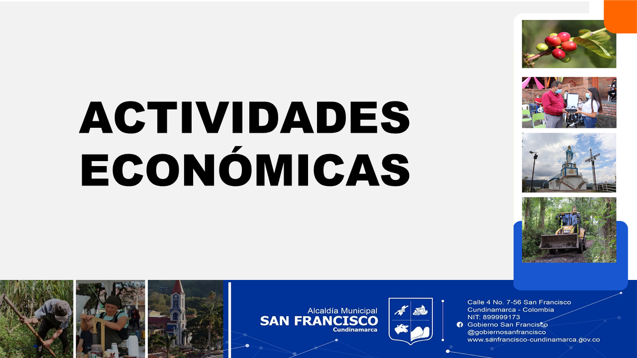 San Francisco Actividades Econ Micas